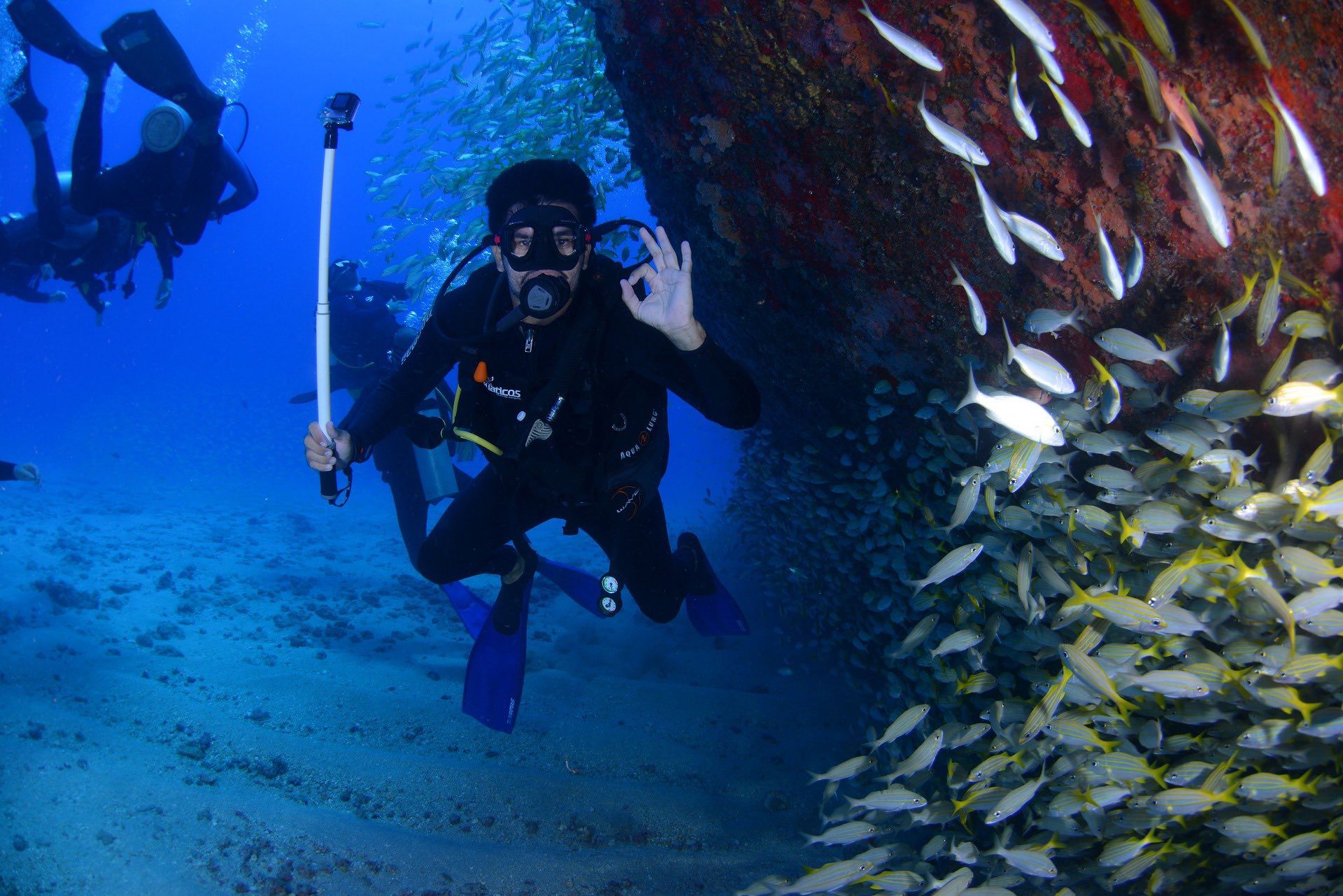 Go Scuba Diving