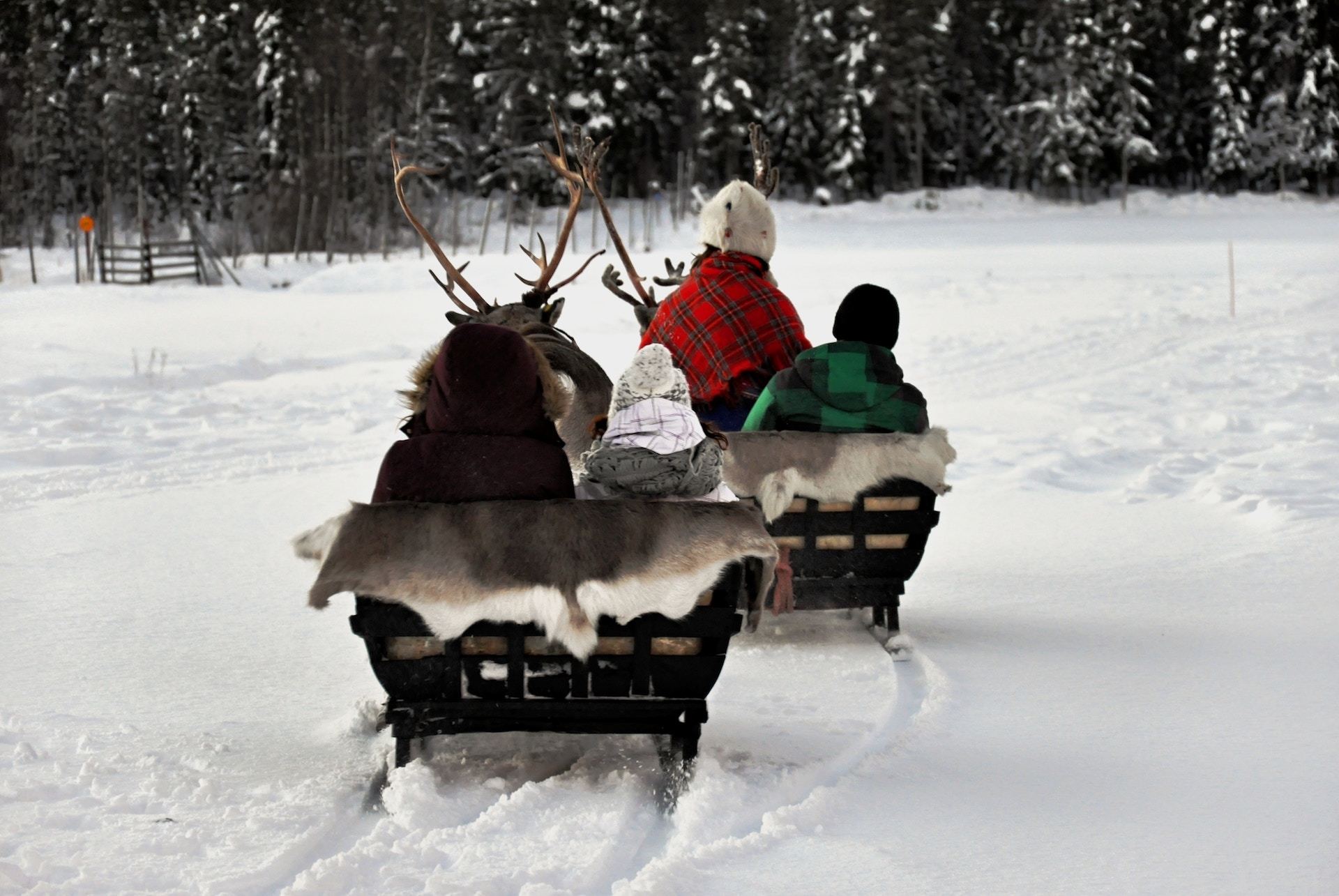 Go To Lapland