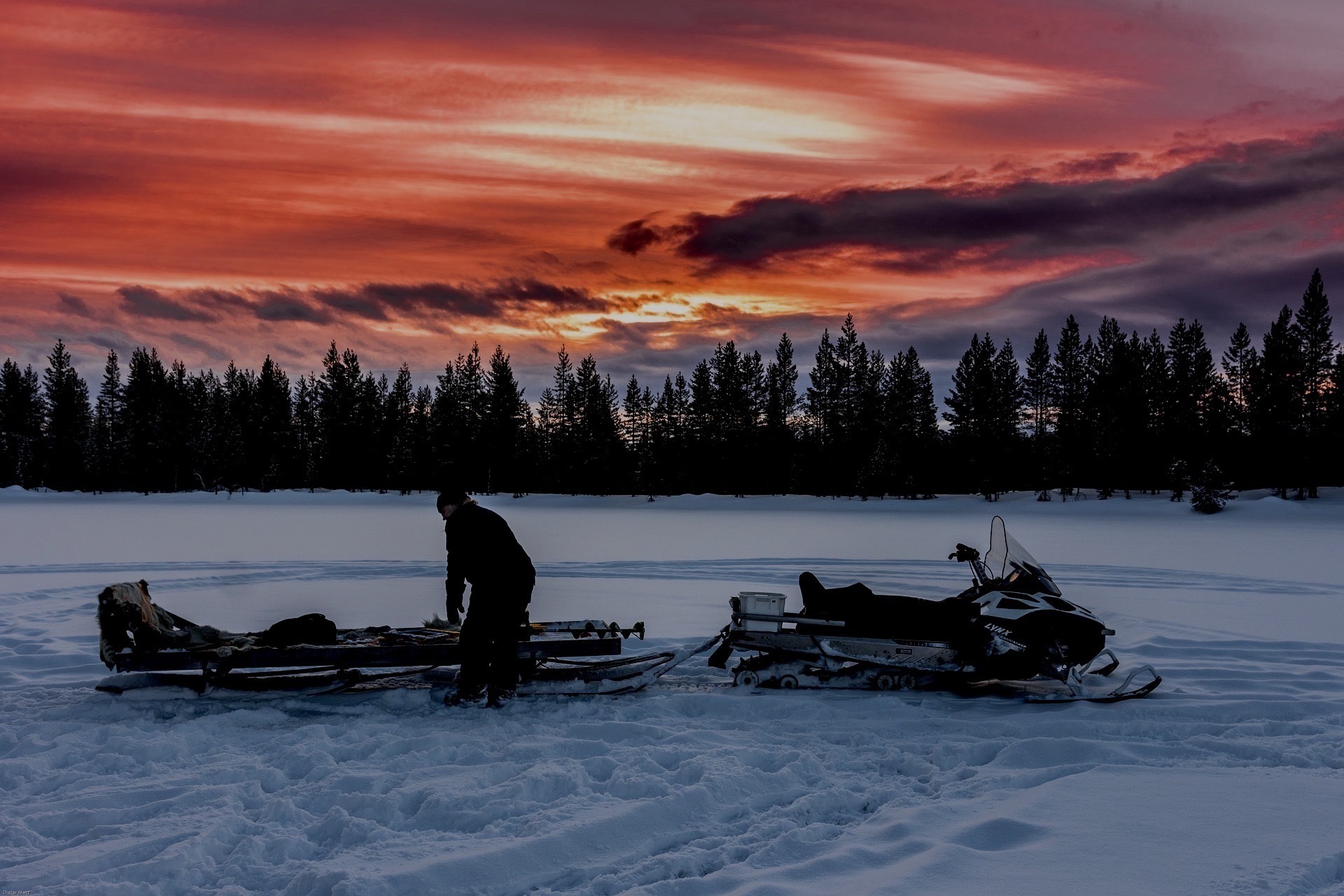 Drive a Snowmobile