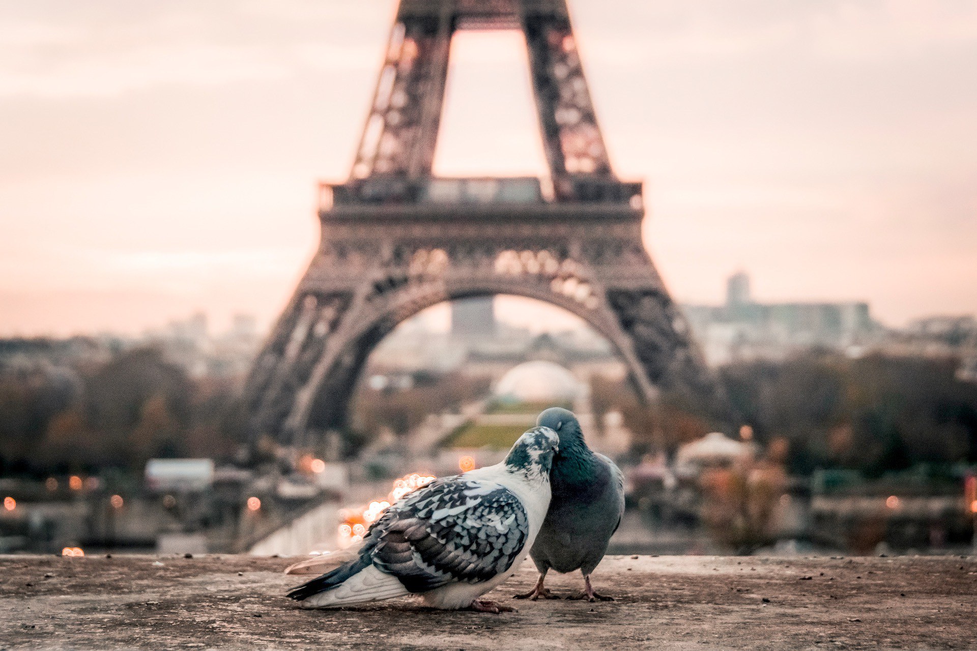 Day 2- Private Tour Eiffel Tower & Romantic Night Cruise Meal