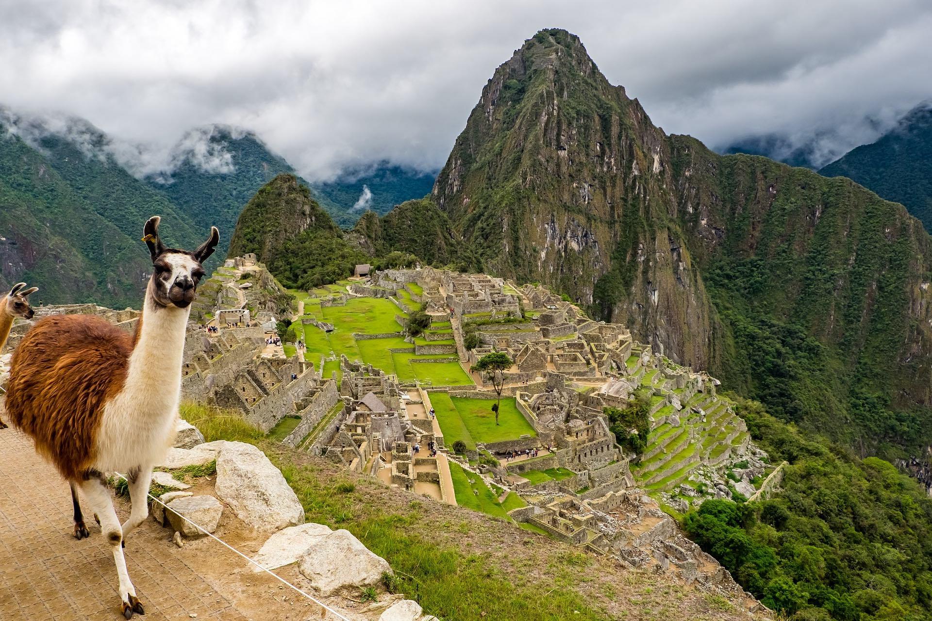 Trek to Machu Picchu