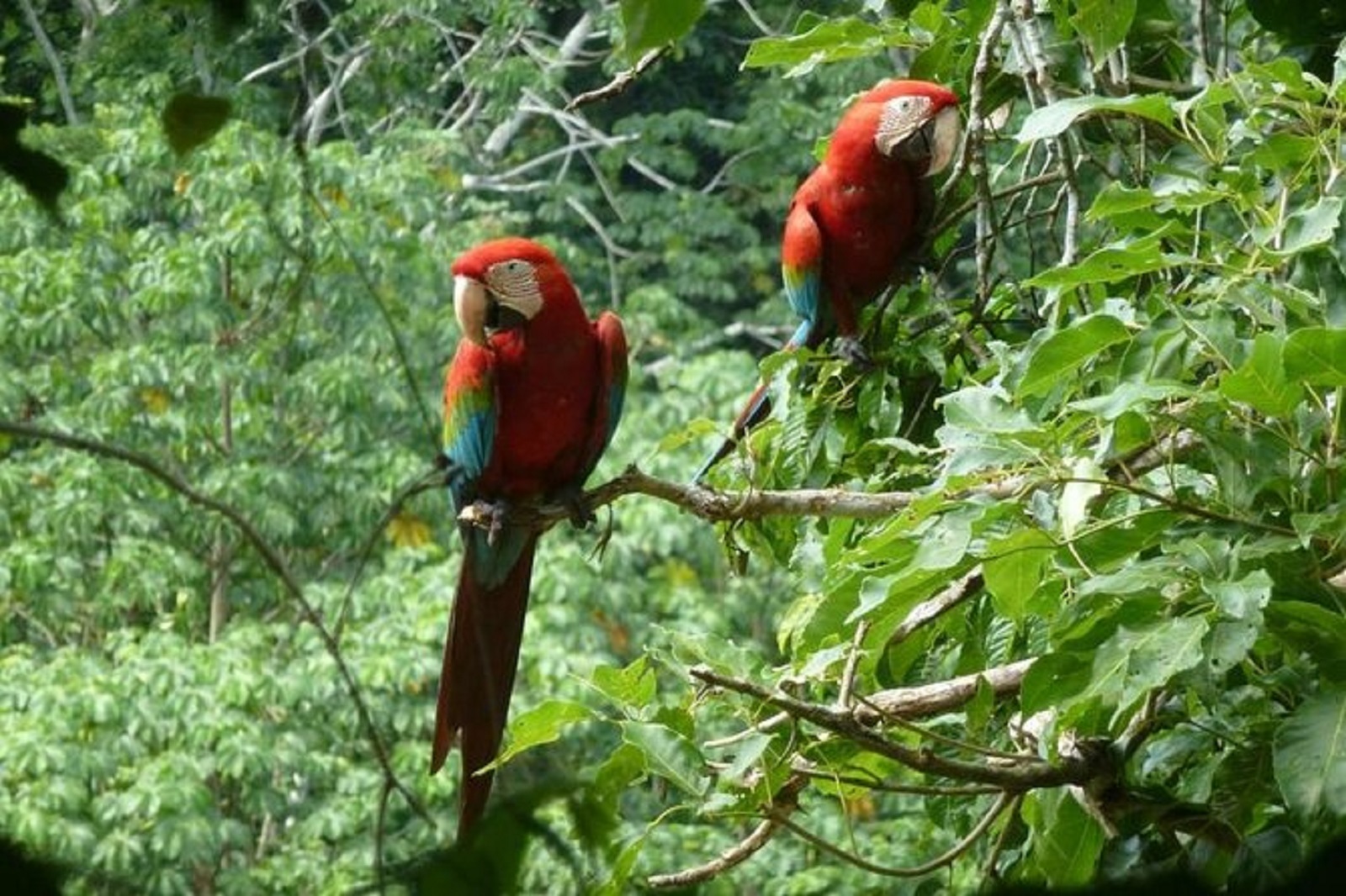 5 Day Bolivian Amazon Tour