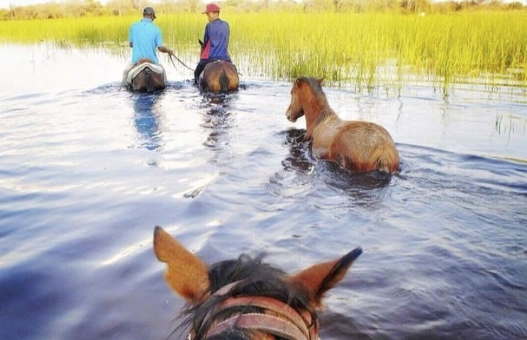 Okavango Delta - Botswana