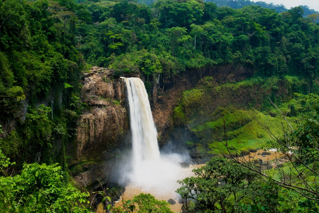 Go To Cameroon