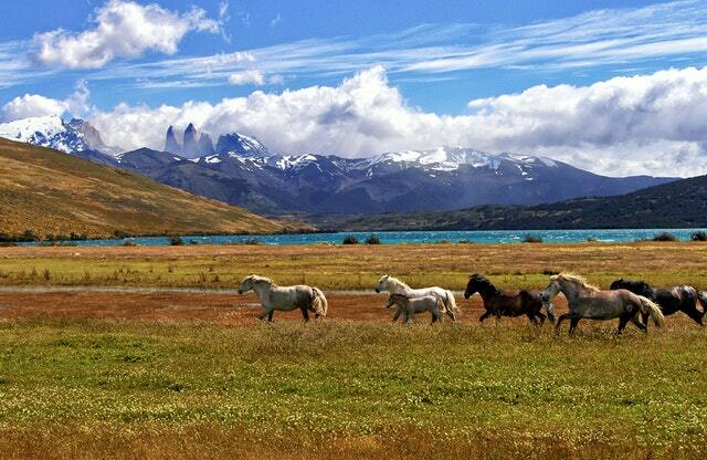 Puerto Natales, Chile