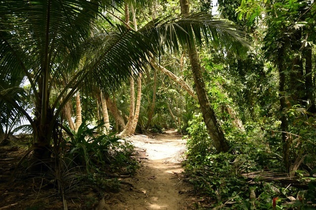 Day 2 - San Jose to Tortuguero