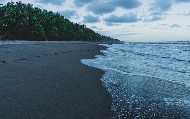 Day 3 - Tortuguero