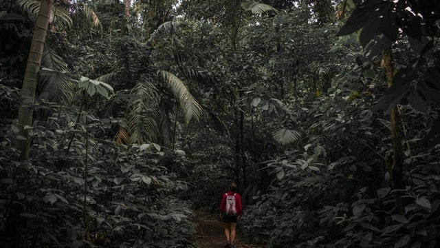 Day 5 – Sarapiqui to Arenal
