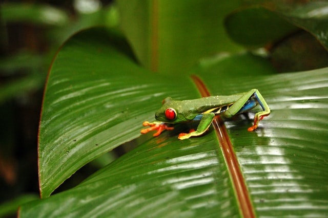 Day 6 – Arenal - Make your day individual