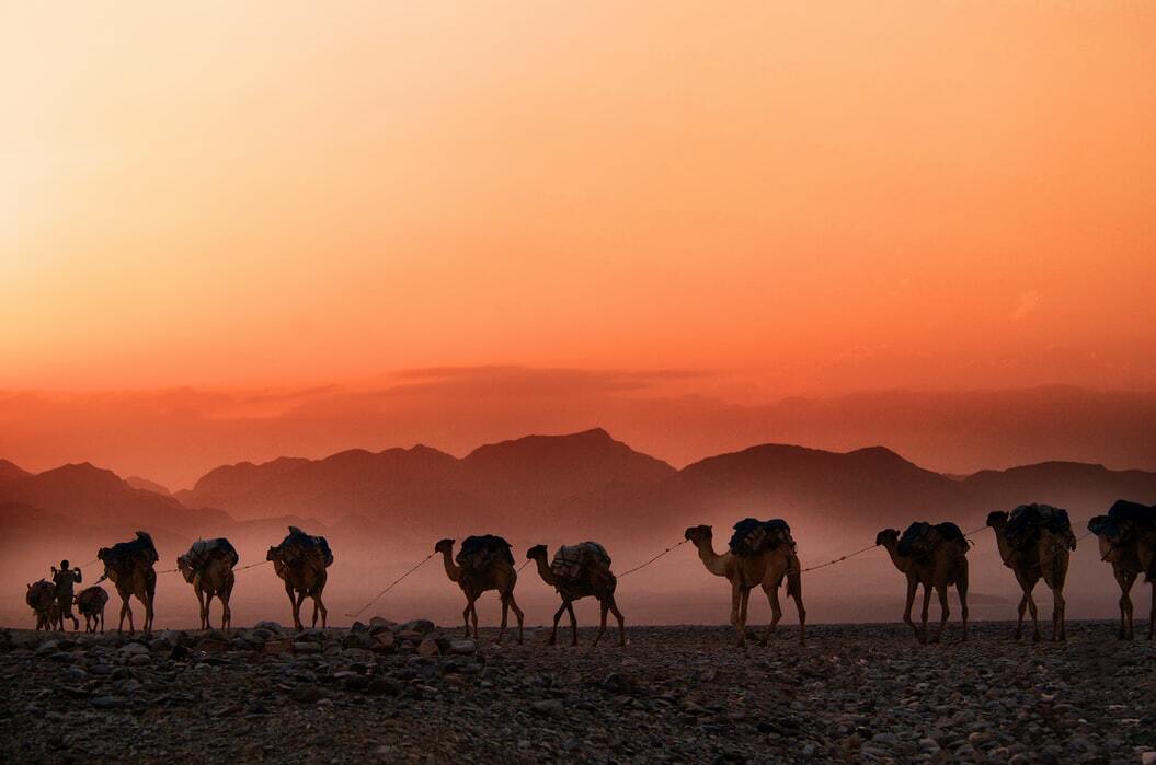 Cross A Desert