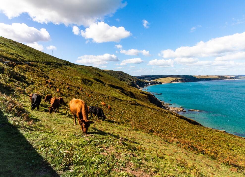 Devon, UK