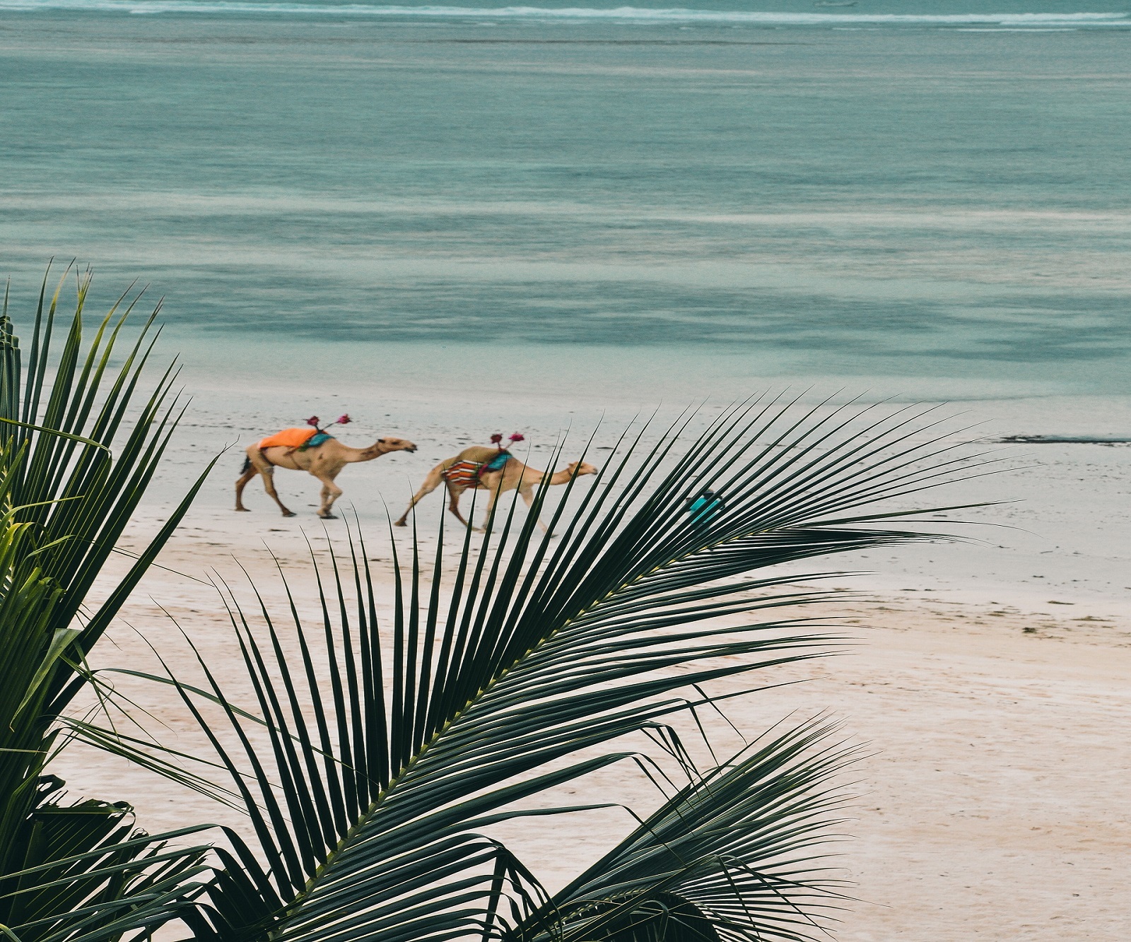 Mombasa and the Eastern Coast