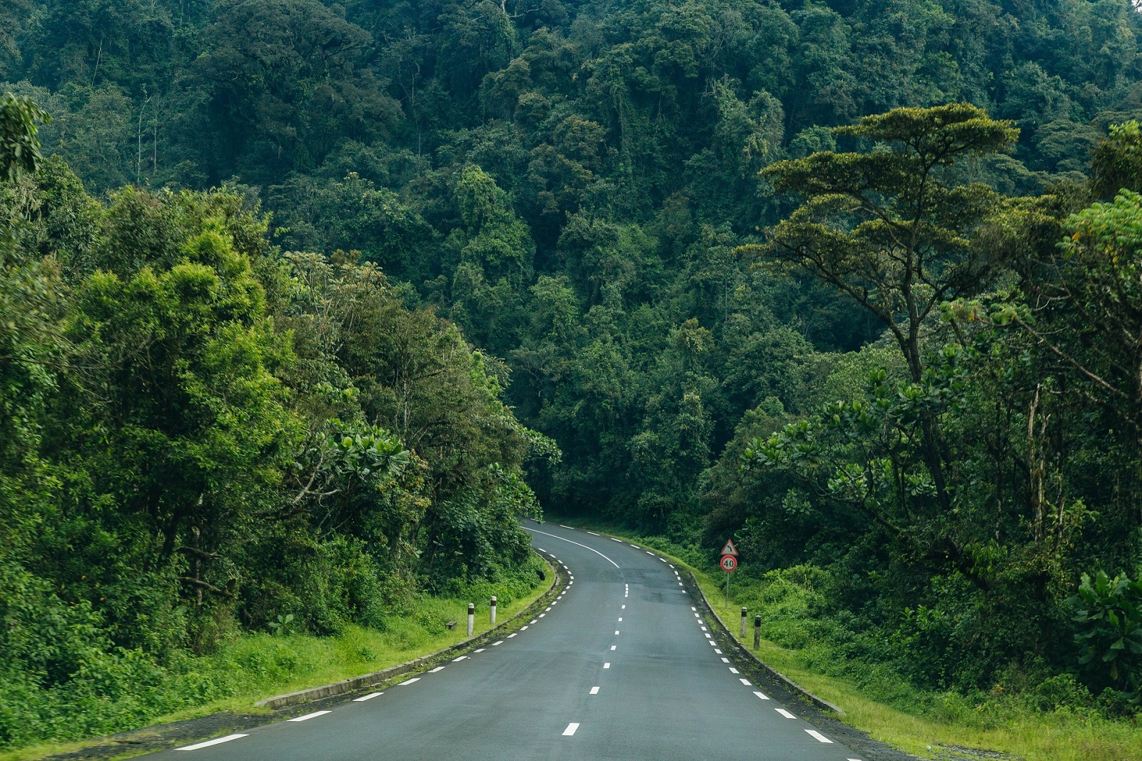 Go To Rwanda