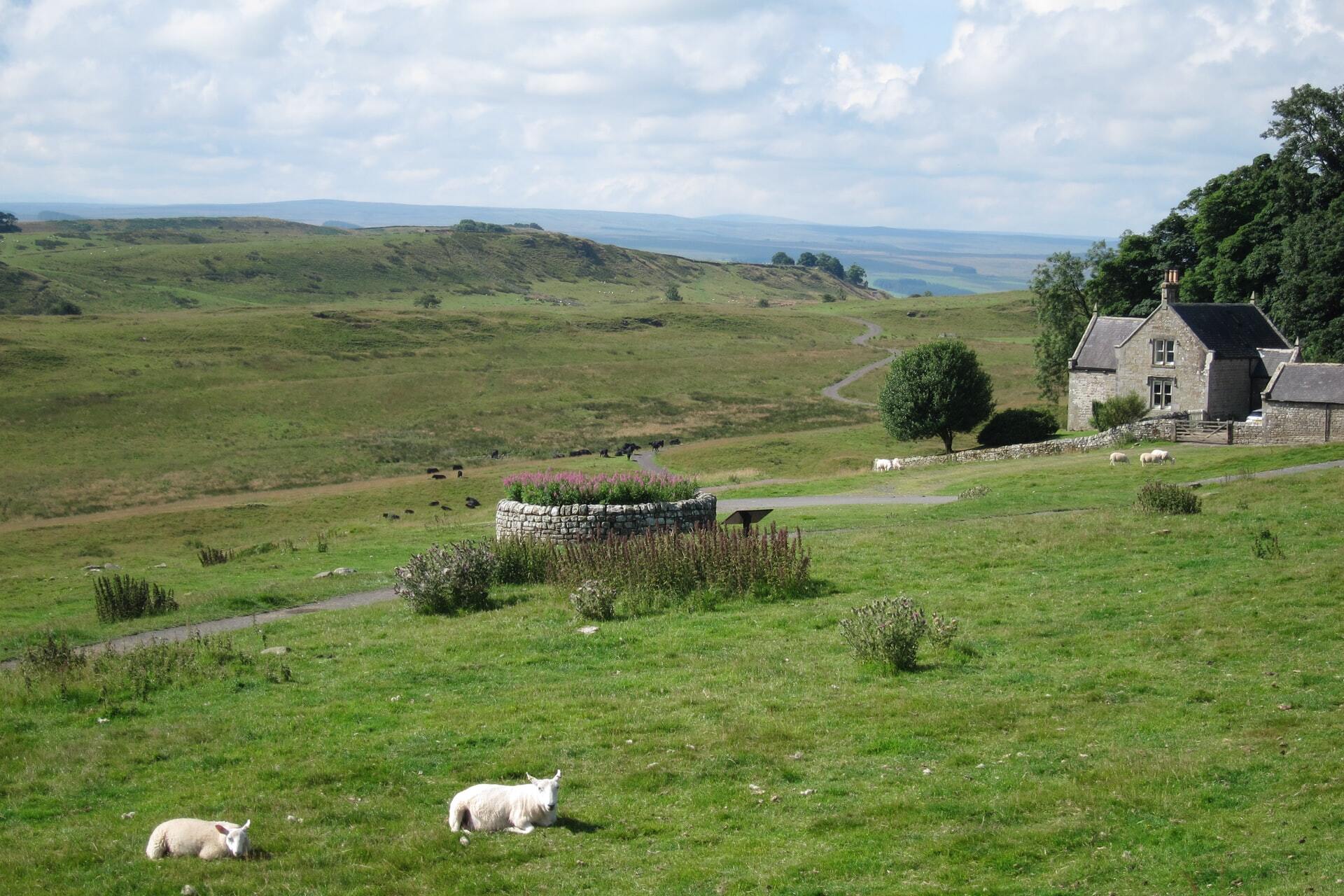 7 Day Hadrian's Wall Walk photo 3
