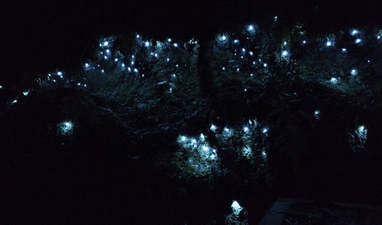 Nothing Glows Brighter Than A Custom Adventure