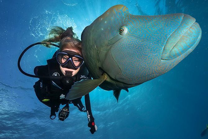 Scuba Diving Course