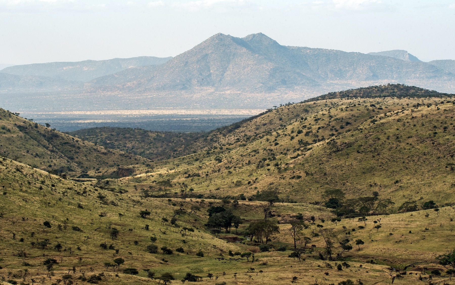Central Highlands
