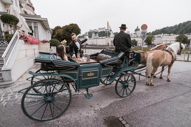 Tour Vienna on a horse drawn carriage