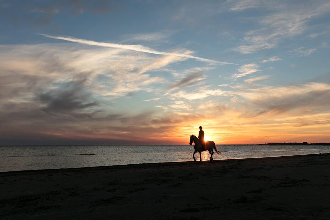 Day 3 - Walking Tour Of The Caldera - Sunset Horse Riding On The Beach