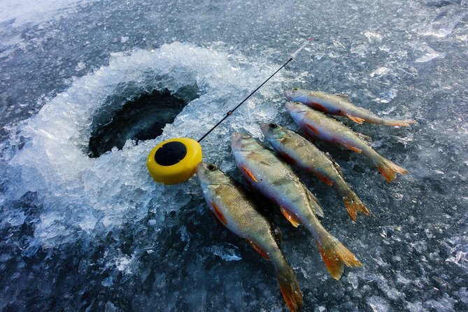 Ice Fishing & Husky Sledding