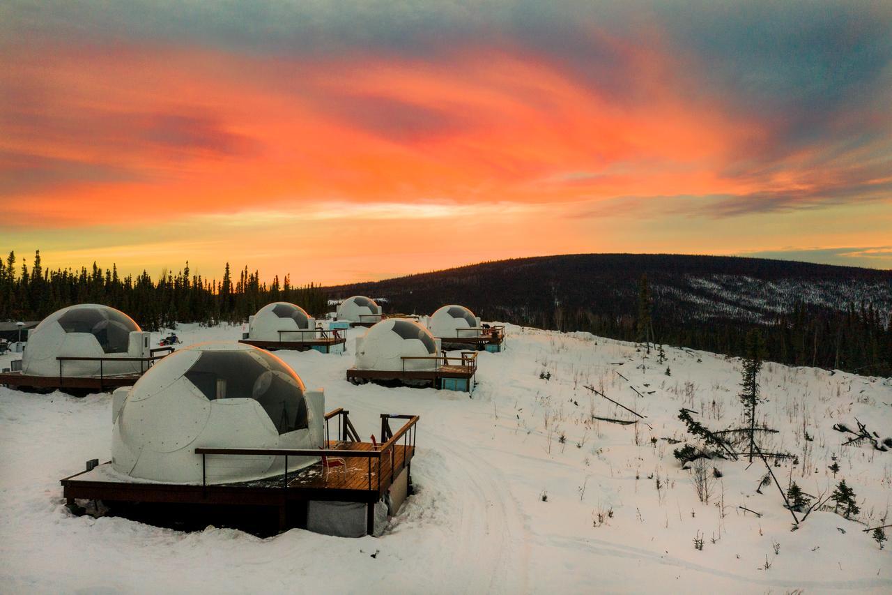 Borealis Basecamp - USA