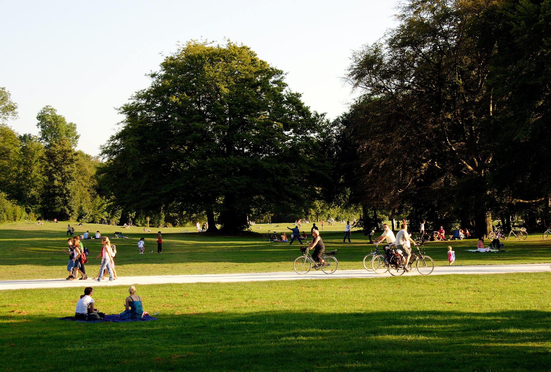 Open Park