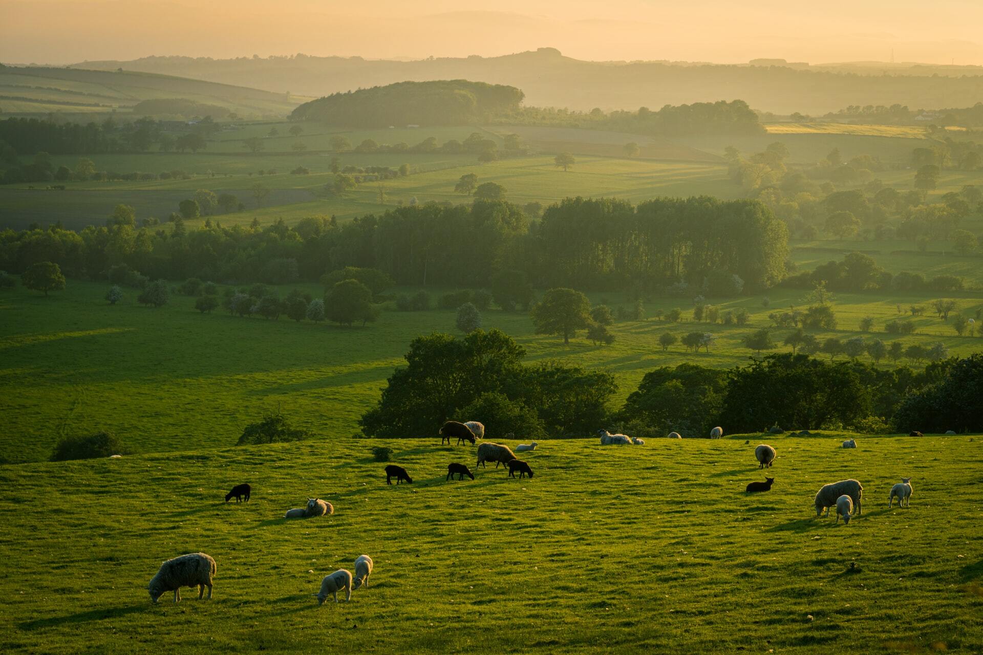 Yorkshire