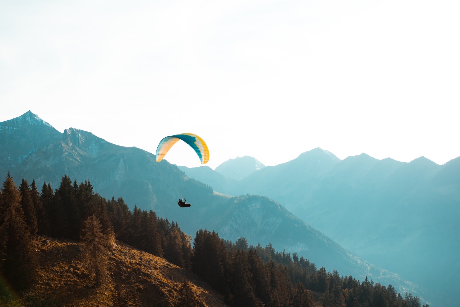Day 2 - Tandem Paragliding