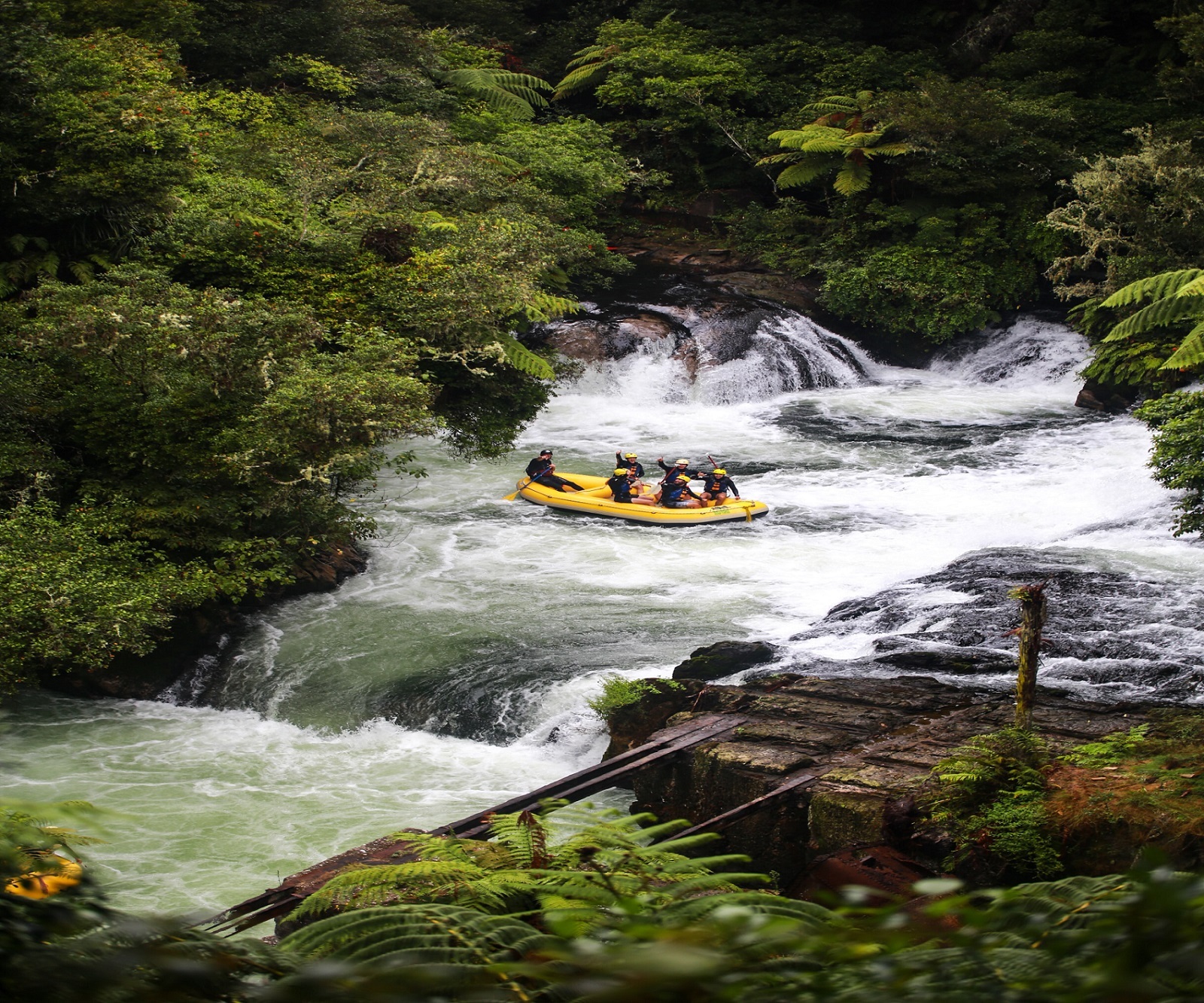 Go White Water Rafting