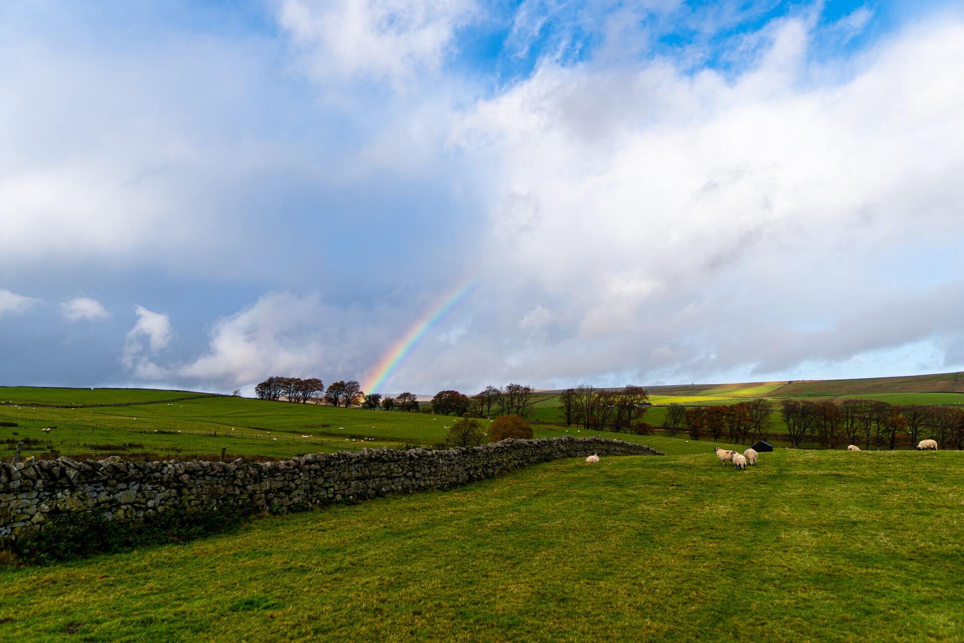 Day 3 - The Pennines