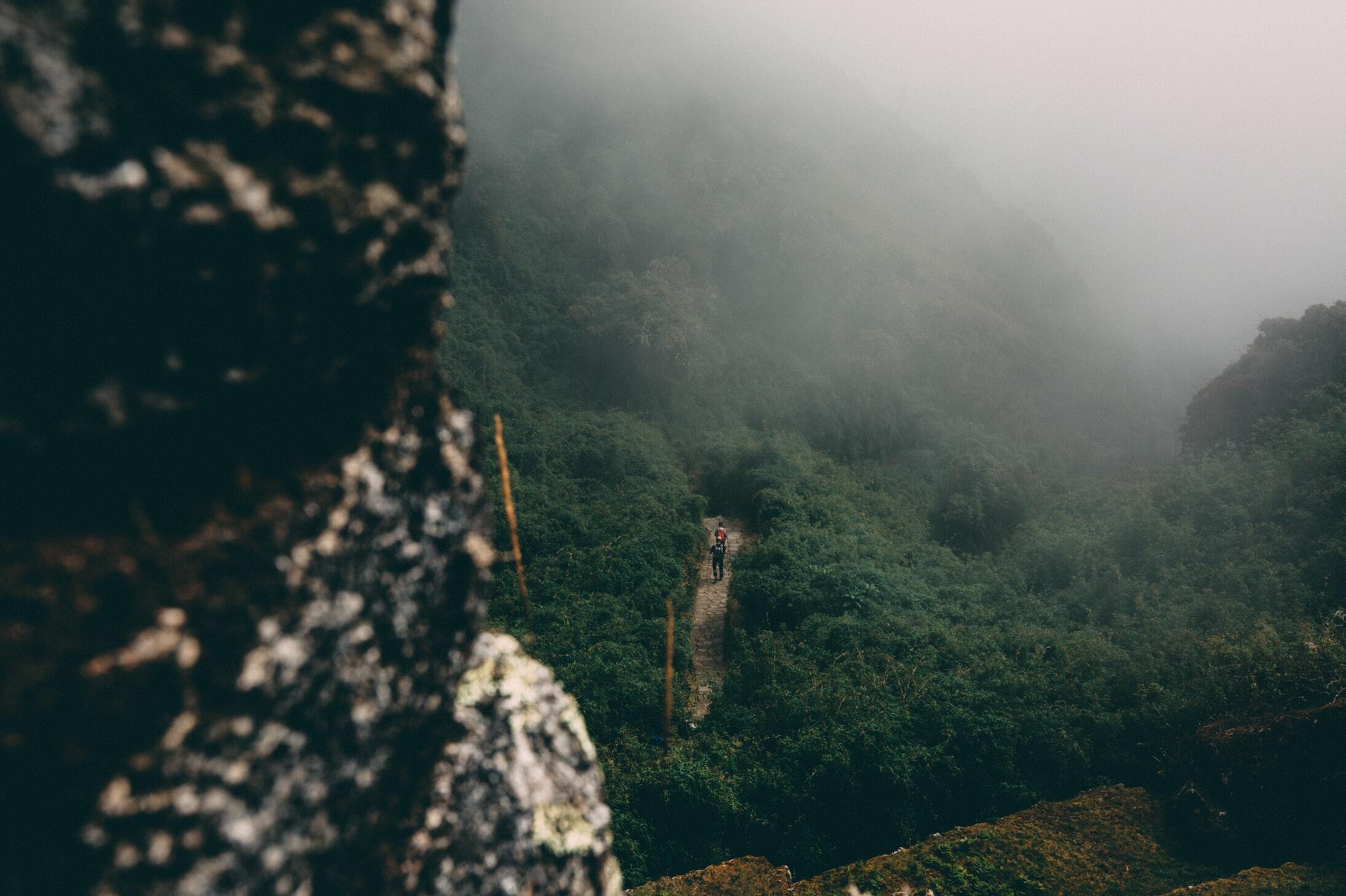 Explore the Amazon