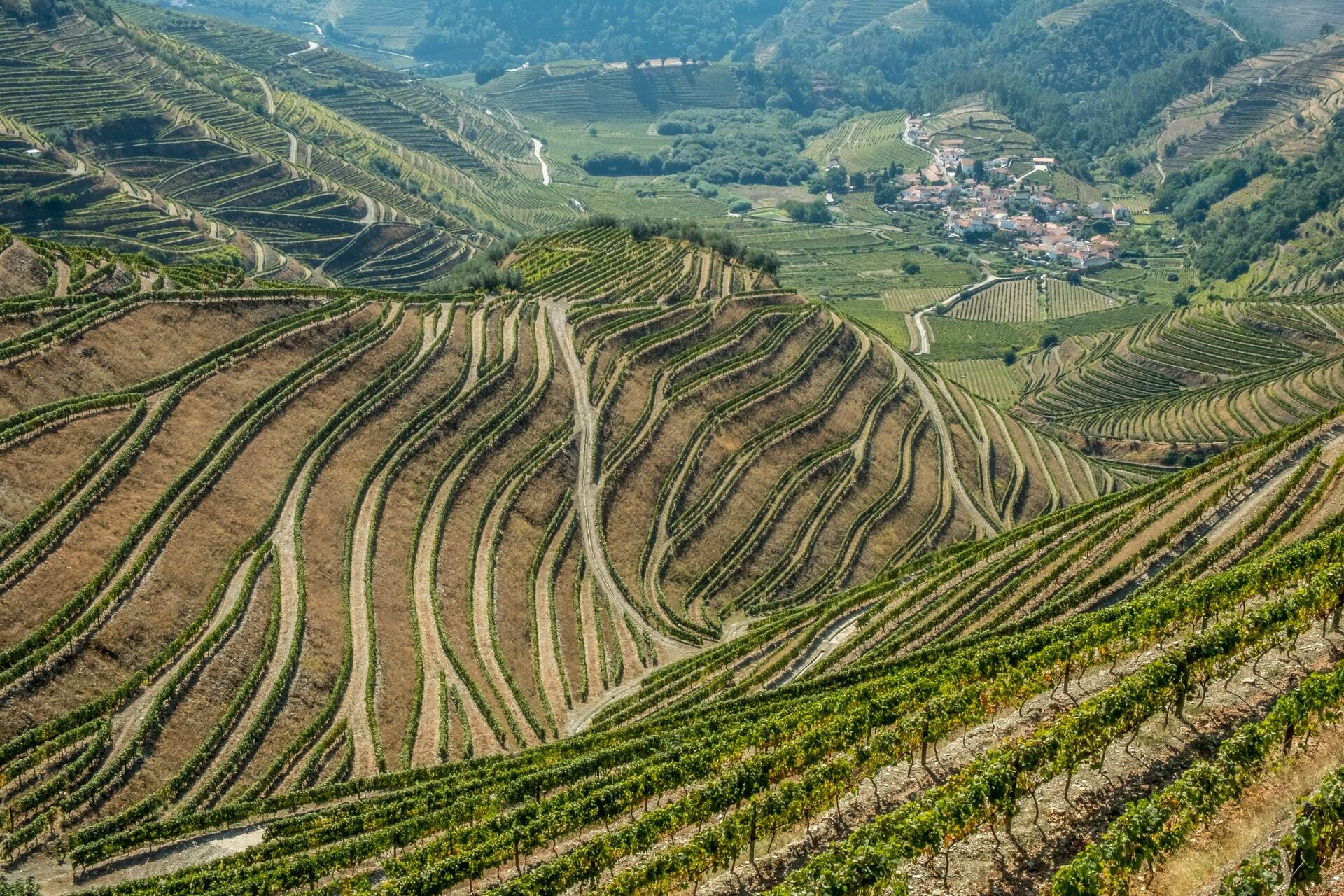 Arrabida and Sesimbra Wine Tasting Tour
