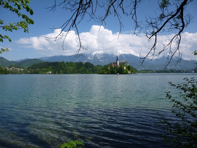 A picture from our walk around Lake Bled