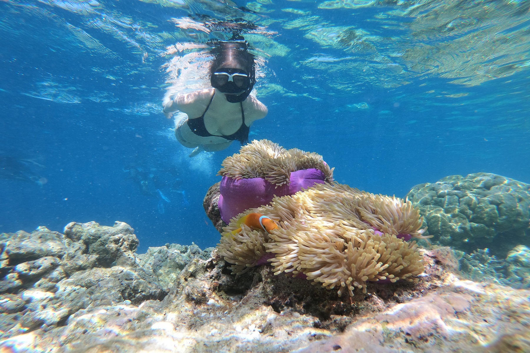 Go Diving