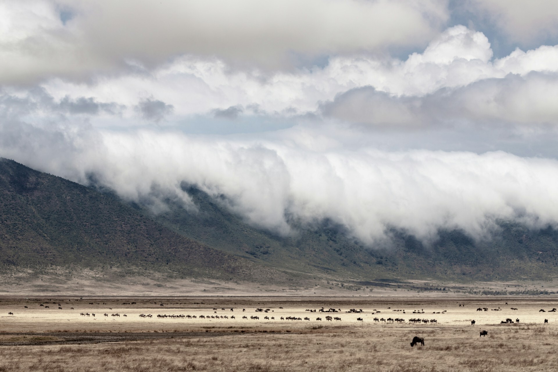 Visit the Ngorongoro Crater