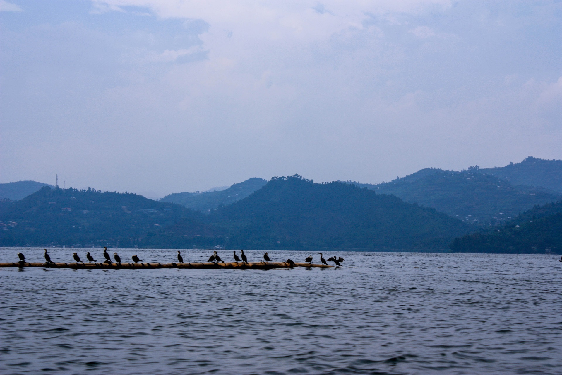 Take a boat trip on Lake Kivu