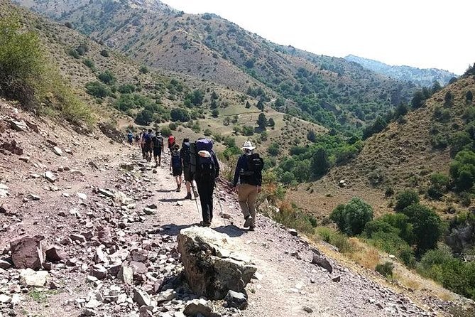 Go hiking in Ugam-Chatkal National Park