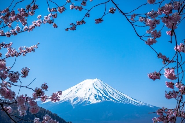 Day 4 - Mount Fuji
