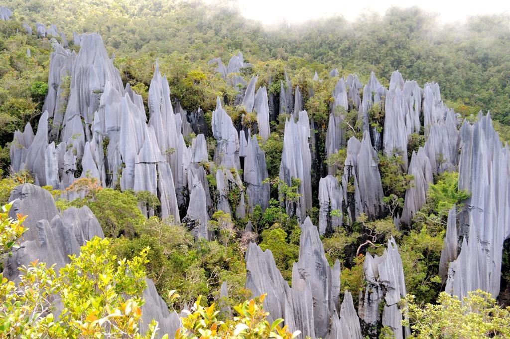 Discover Gunung Mulu National Park