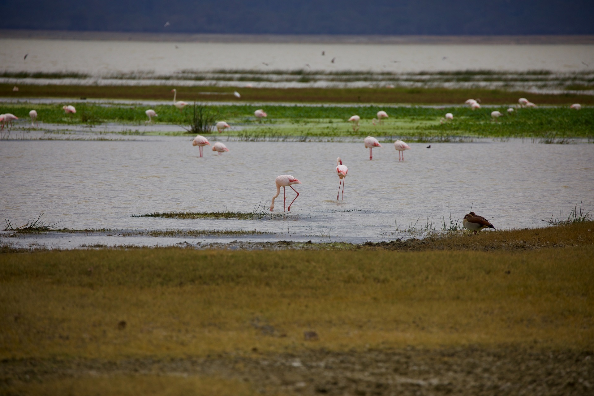 Northern Tanzania