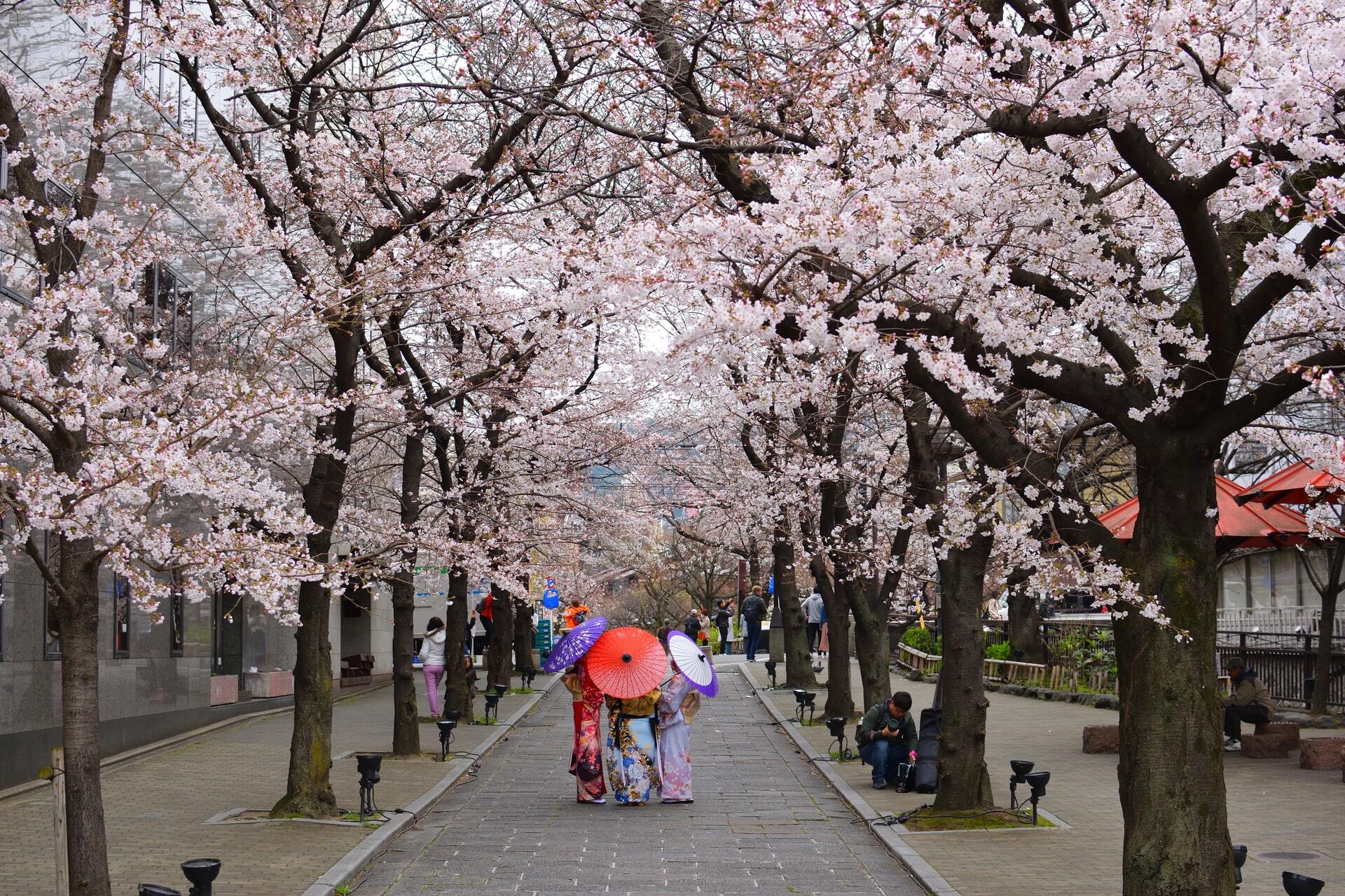 Kyoto