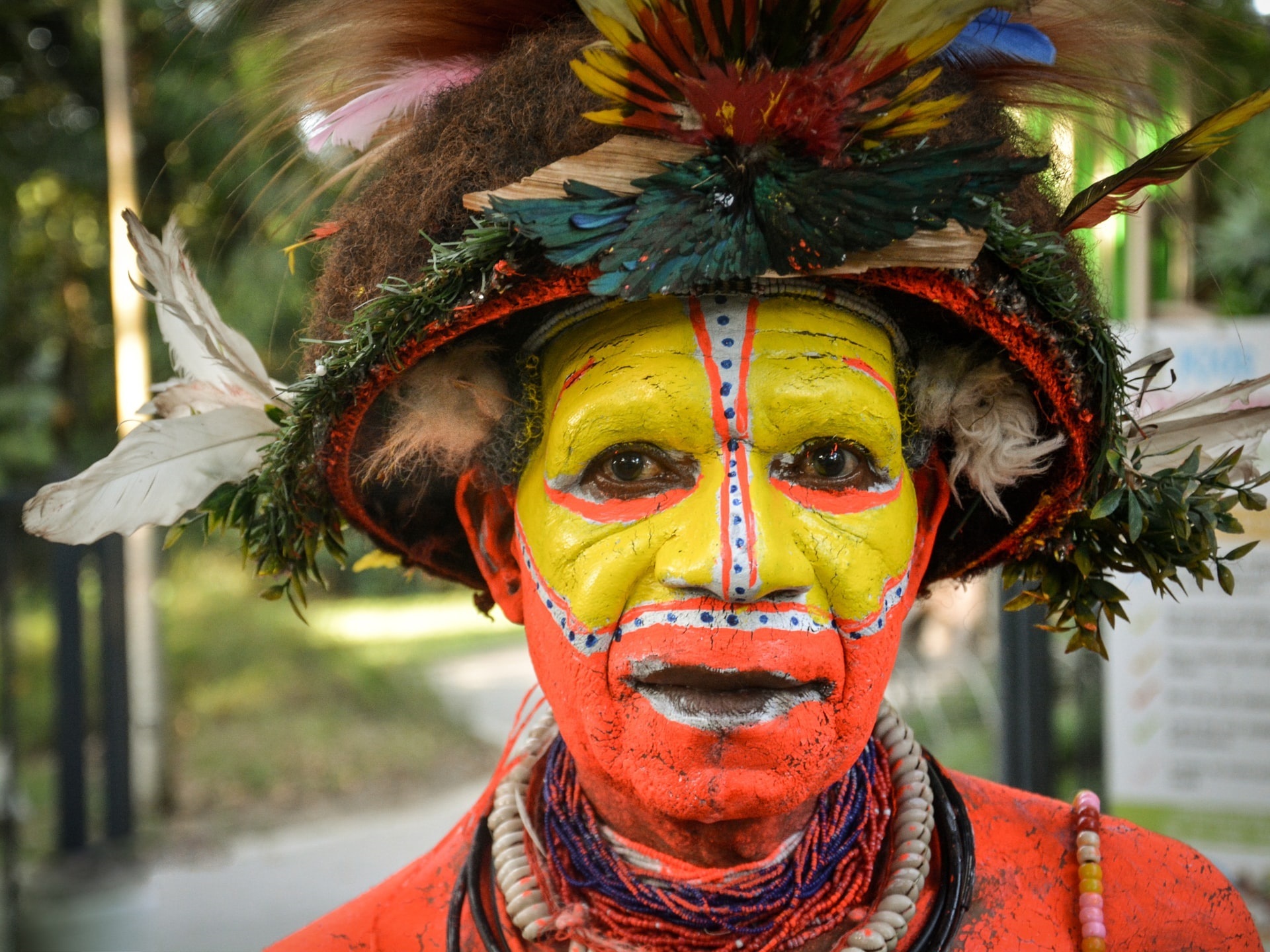Show Your True Colours & Join The Custom Trip Tribe!