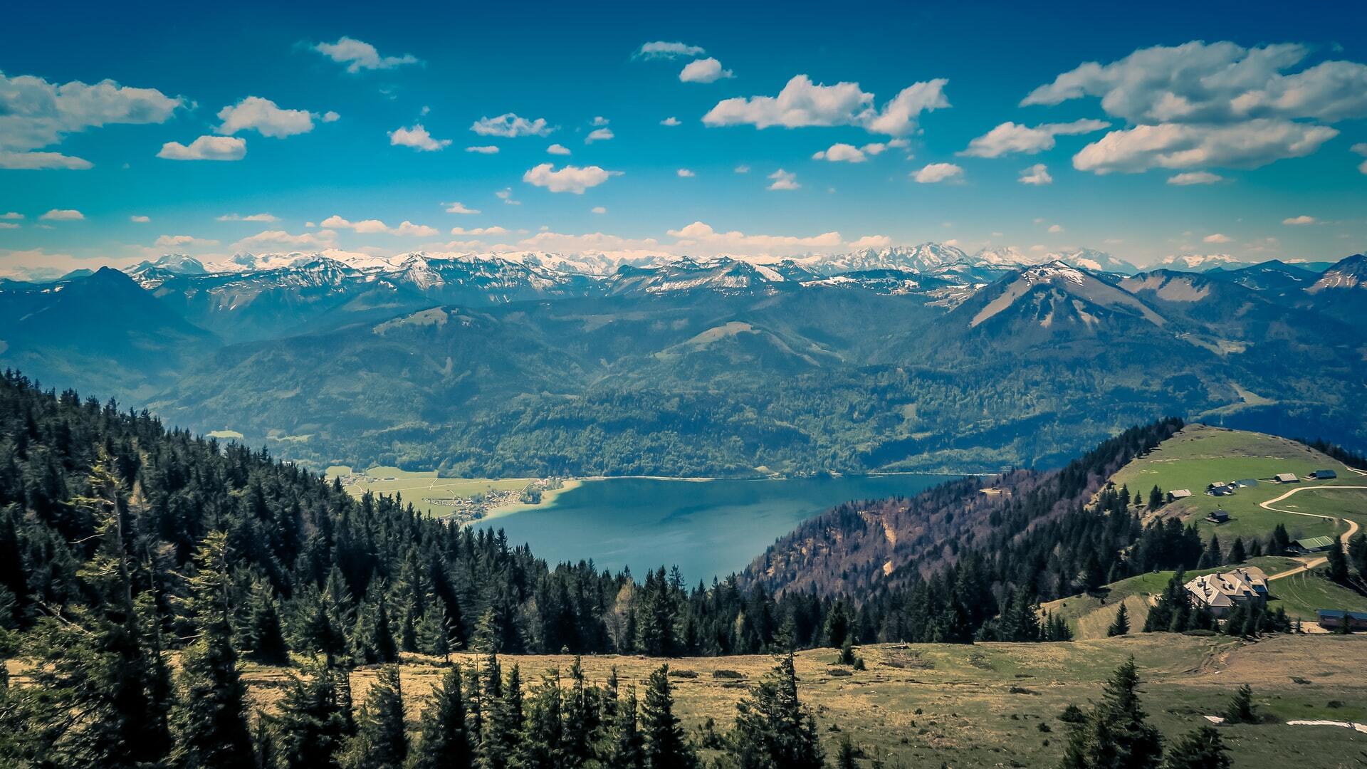 Go To Austria