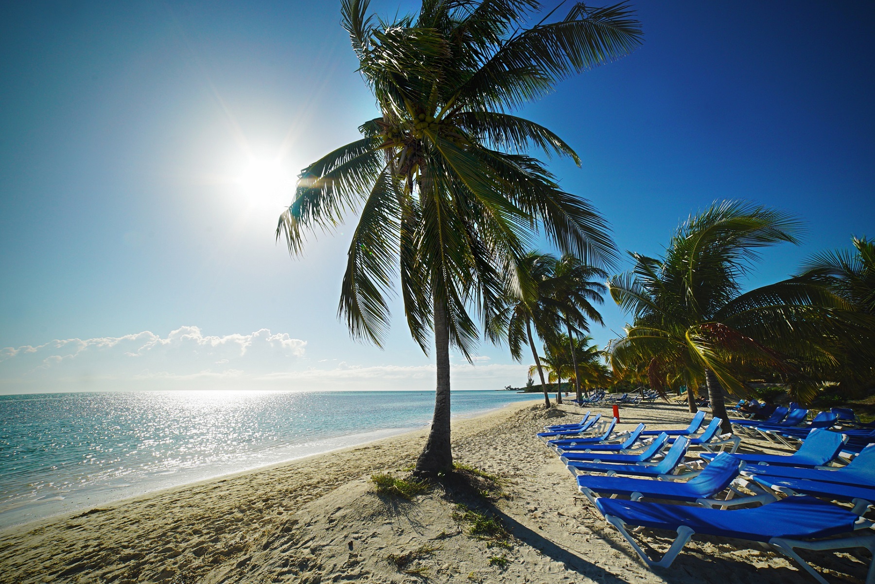 Go To The Bahamas