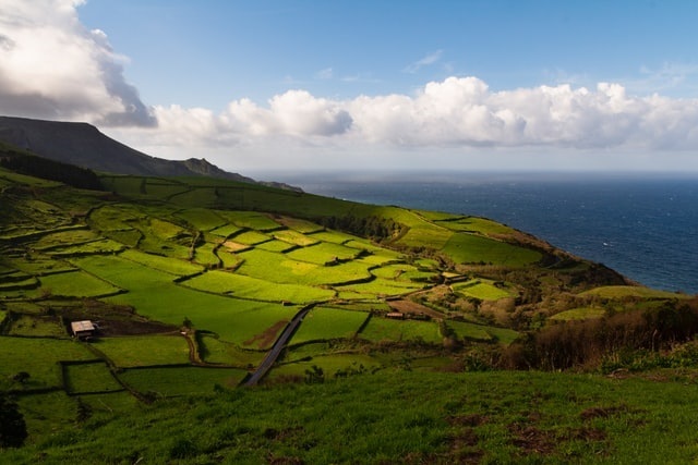 7 Nights Swimming With Dolphins In Azores photo 2