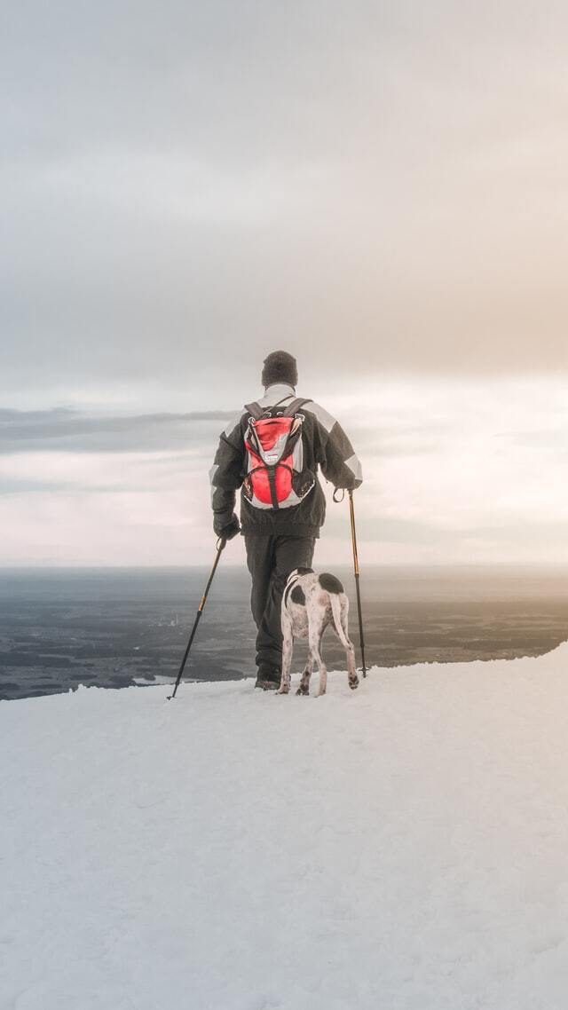 10 Day Arctic Survival