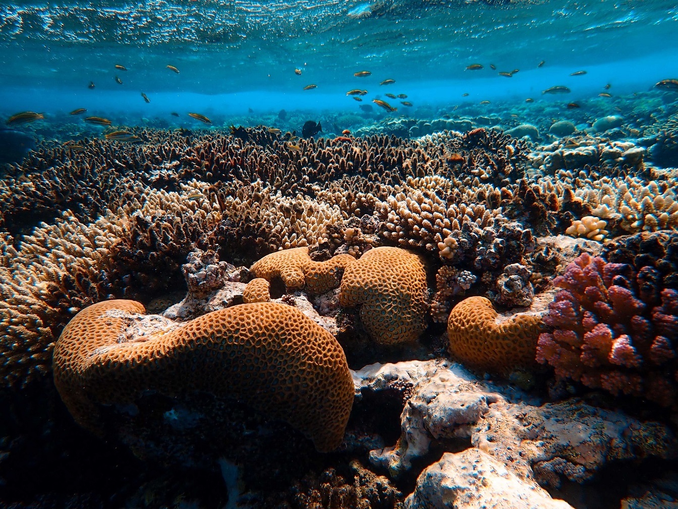 Day 6 - Red Sea