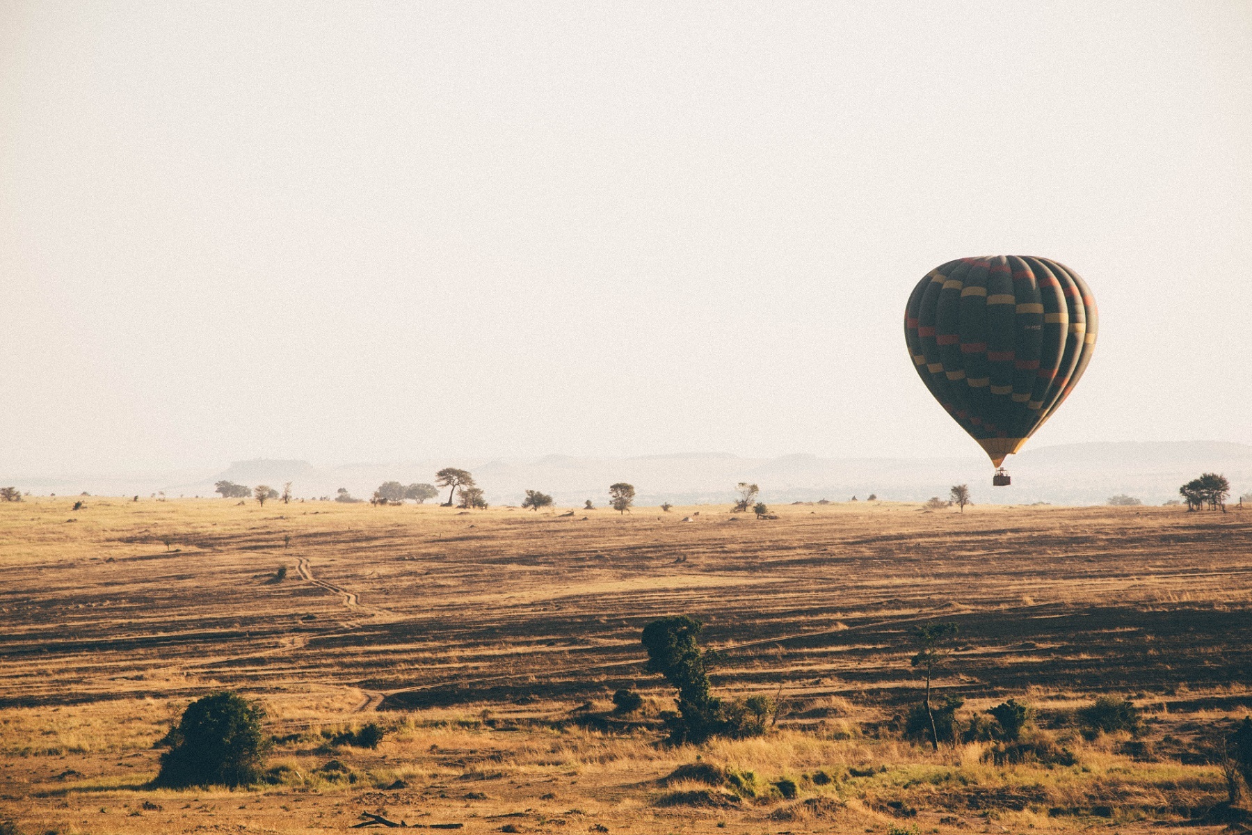 Go on hot air balloon ride