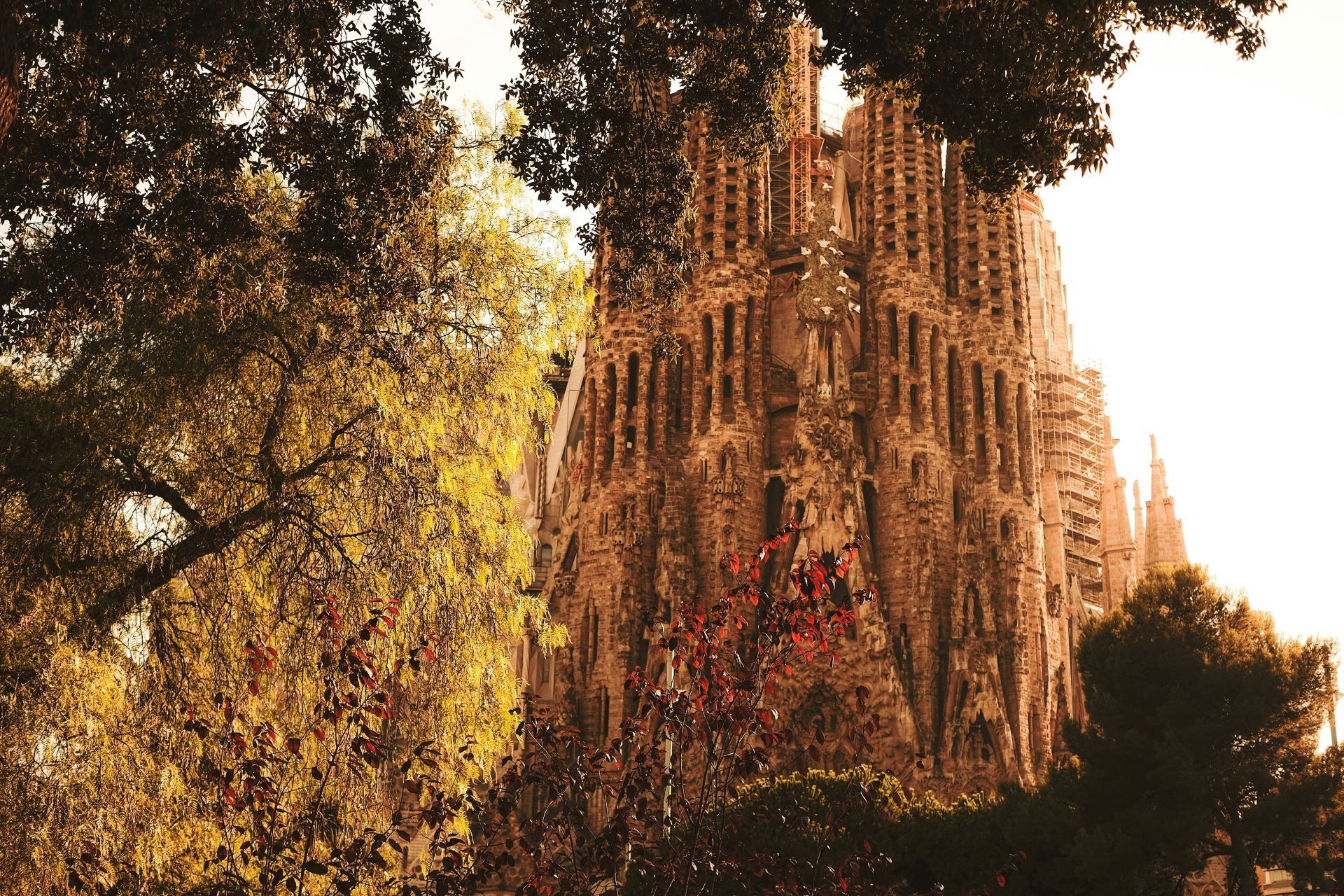 See The Sagrada Familia