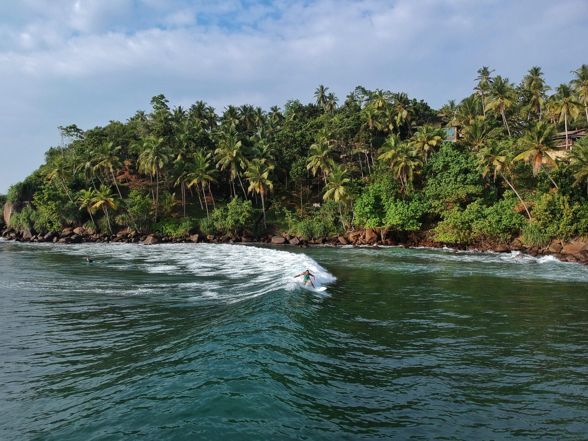 Go Surfing